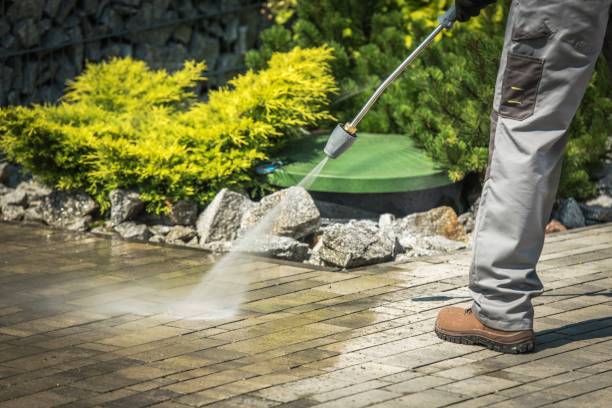 Best Solar Panel Cleaning  in Stamford, TX