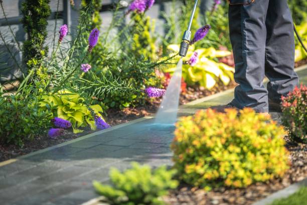 Best Restaurant Pressure Washing  in Stamford, TX