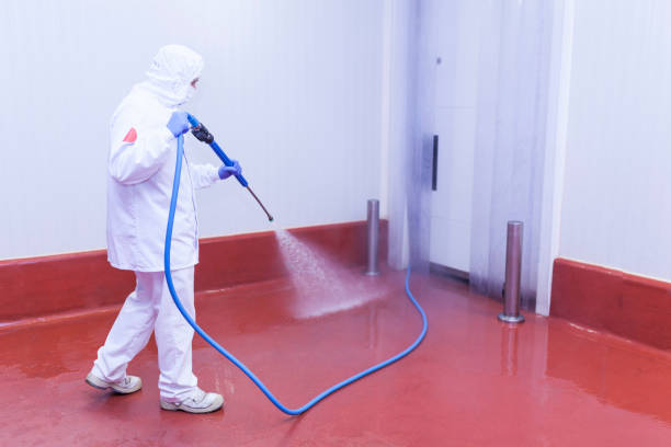 Best Pre-Holiday Cleaning  in Stamford, TX